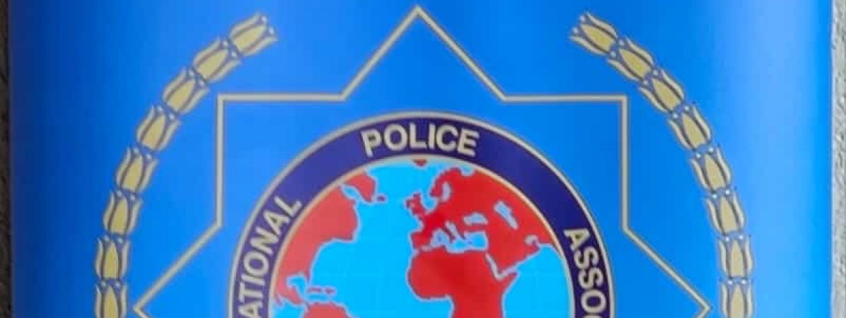 202405_IPA Split Logo